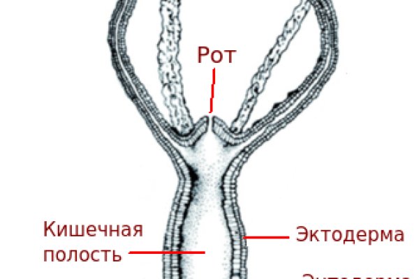 Зеркало омг что это