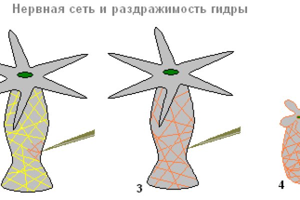 Омг зайти